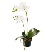 orkide-konstgjord-blomma-vit-1