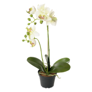 orkide-konstgjord-blomma---vitgul-1