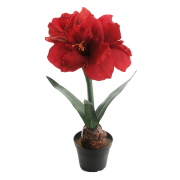 amaryllis-rod---konstvaxt-1